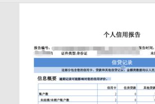 個人互聯(lián)網(wǎng)服務 周末查詢征信與利用工具實現(xiàn)信用自由指南