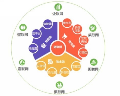 平安互聯(lián)網(wǎng)創(chuàng)建項目 打造安全、便捷、高效的個人互聯(lián)網(wǎng)服務新生態(tài)